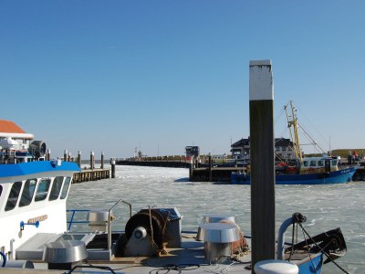 Bungalow Uterste Coogh - Environment photo 23