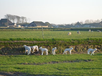 Apartment 't Kerckeland - Environment photo 18