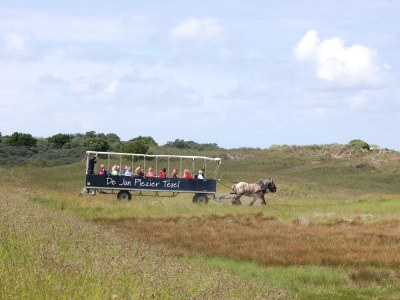 Apartment Motel Texel - Environment photo 22