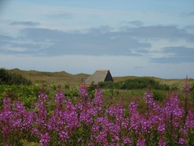 Holiday house 't Hoogelandt - Environment photo 16