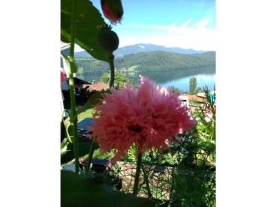 Holiday apartment 2 in Haus Sonnleit'n - Outdoor photo 3