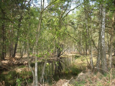 Holiday apartment Schmidt-Dalhoff - Features photo 13