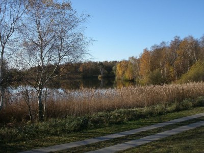 Holiday apartment Schmidt-Dalhoff - Features photo 14