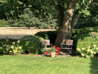 Holiday house "Haus am Brockeswald" - Features photo 27