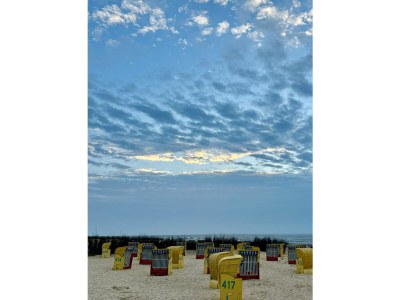 Holiday house "Haus am Brockeswald" - Environment photo 30