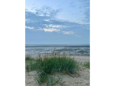 Holiday house "Haus am Brockeswald" - Document photo 43