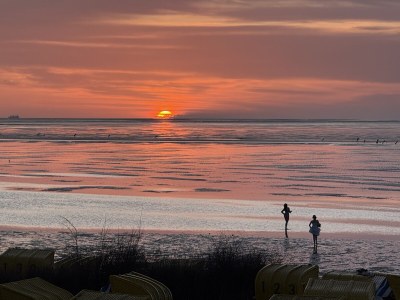 Holiday house "Haus am Brockeswald" - Document photo 44