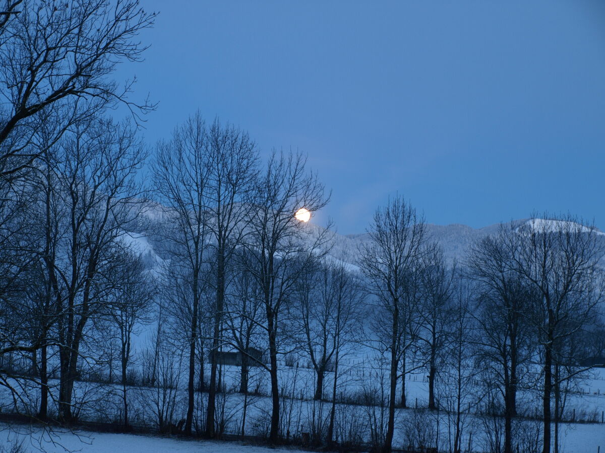 Holiday apartment Alpen Chalet "Alte Talstation" - Outdoor photo 3