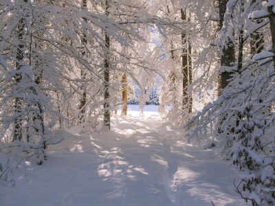 Holiday apartment Alpen Chalet "Alte Talstation" - Outdoor photo 6