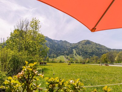 Holiday apartment Alpen Chalet "Alte Talstation" - Outdoor photo 11