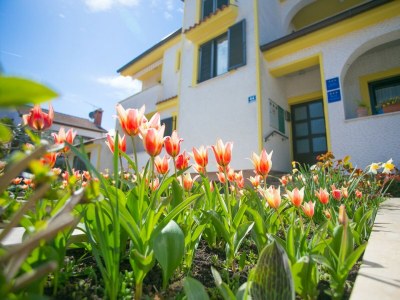 Apartment Matosevic No. 4 - Outdoor photo 3