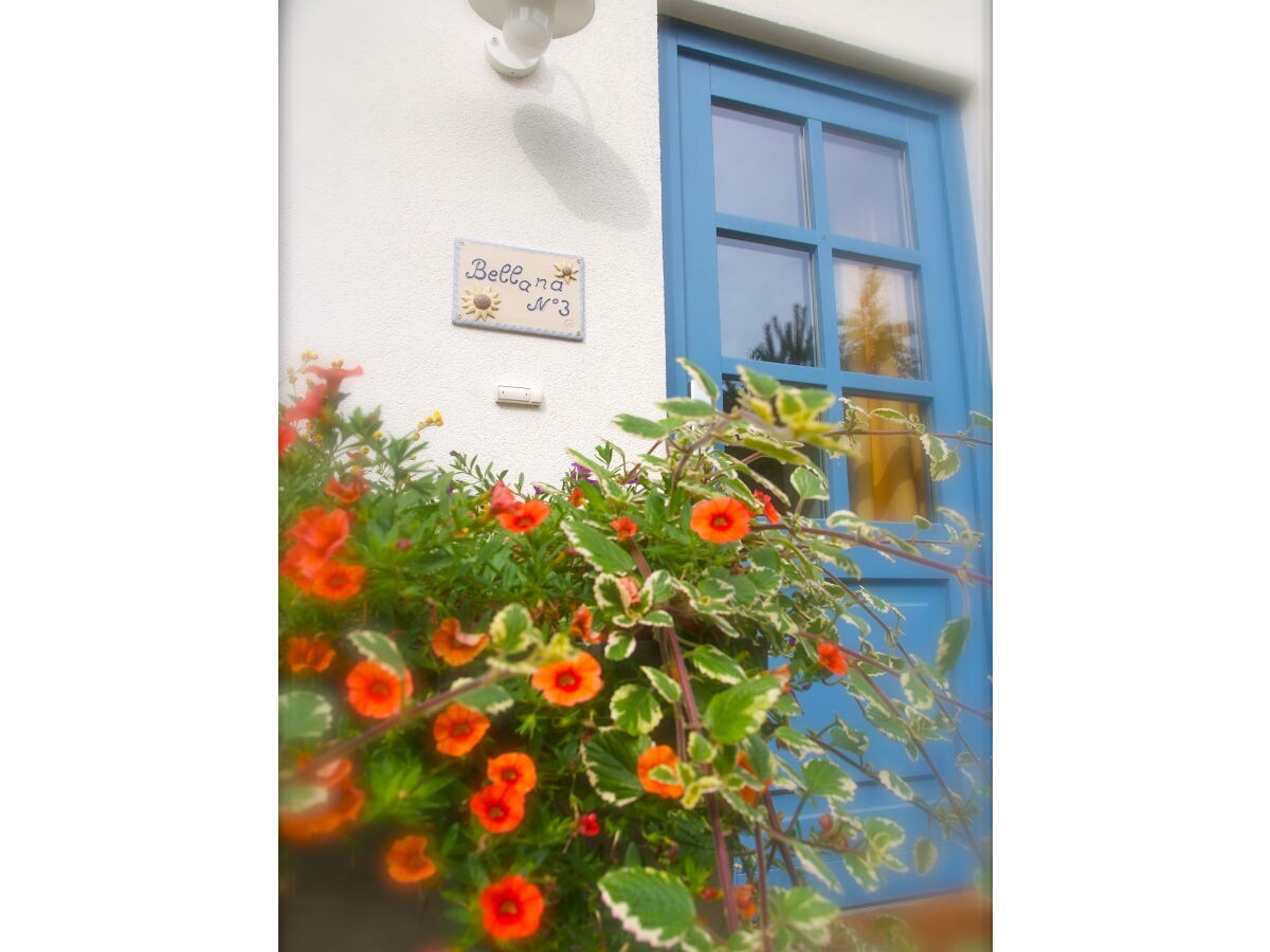 Holiday house Bellana 2 - Outdoor photo 4