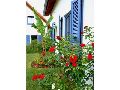 Holiday house Bellana 4 - Outdoor photo 6