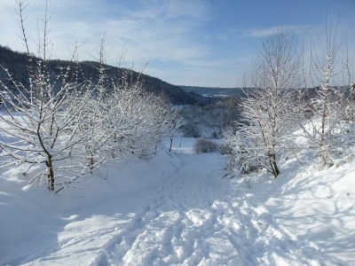 Holiday house Bellana 4 - Environment photo 16