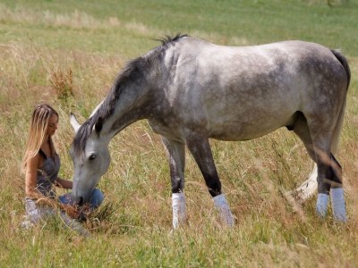 Holiday house Bellana 4 - Environment photo 18
