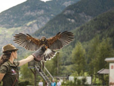 Apartment Landhaus Waldhart - Environment photo 36