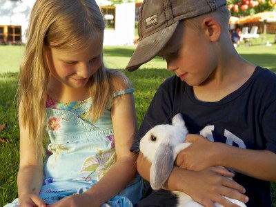 Holiday apartment in der Sonnberg Ferienanlage - Environment photo 29