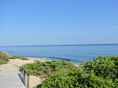 Holiday house Villetti Trullissimo Marchese - Environment photo 22