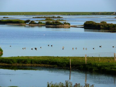Holiday apartment Pellworm in Haus Halligblick - Environment photo 17