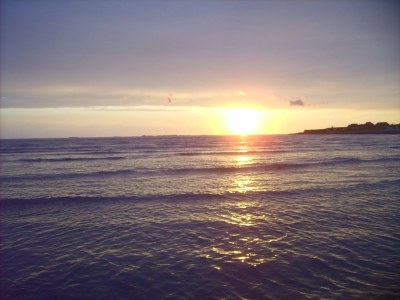 Holiday apartment Pellworm in Haus Halligblick - Environment photo 19