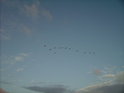 Holiday apartment Pellworm in Haus Halligblick - Environment photo 22