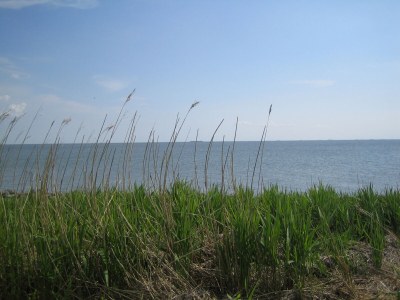 Holiday apartment Pellworm in Haus Halligblick - Environment photo 31