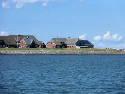 Holiday apartment Pellworm in Haus Halligblick - Environment photo 34