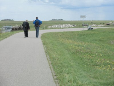 Holiday apartment Pellworm in Haus Halligblick - Environment photo 35