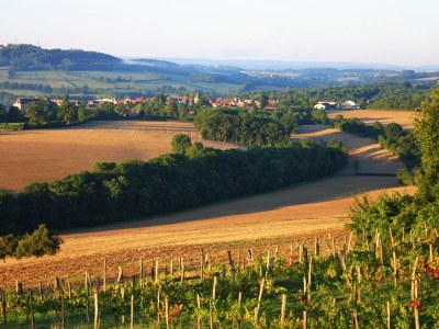 Holiday house Nid d´Amour - Environment photo 27