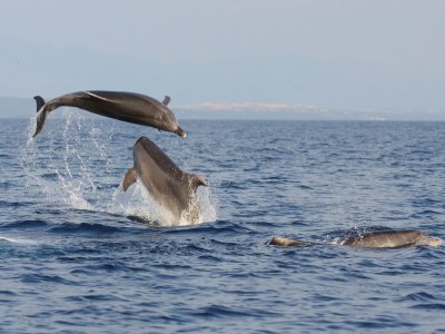 Holiday apartment Ady 1 - Environment photo 17