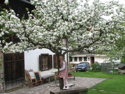 Holiday apartment Höllengebirge - Outdoor photo 5
