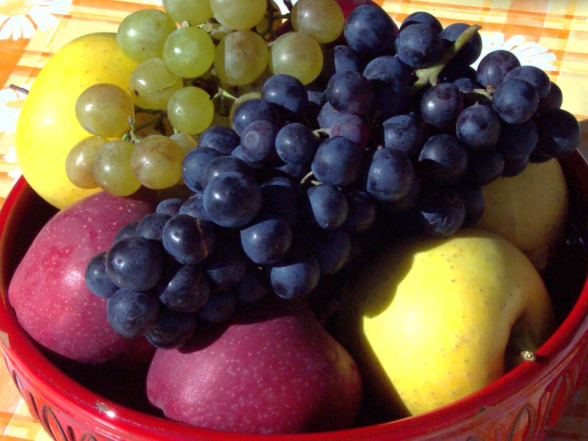 Holiday apartment Panorama Holiday Apartment - Weinmesserhof - Outdoor photo 5