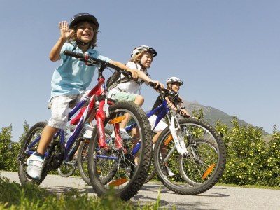 Holiday apartment Panorama Holiday Apartment - Weinmesserhof - Environment photo 15