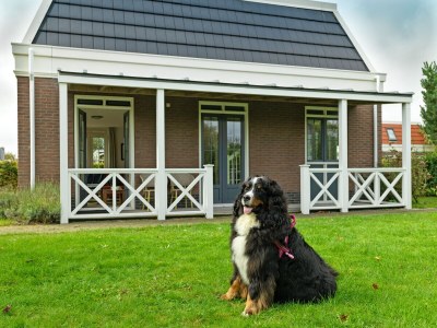 Holiday house Tulp & Zee - Outdoor photo 7