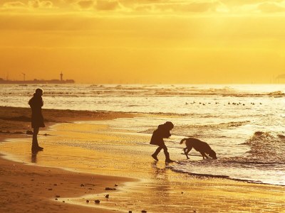 Holiday house Tulp & Zee - Environment photo 19