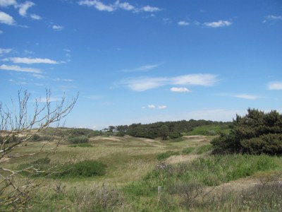 Holiday house Tulp & Zee - Environment photo 20