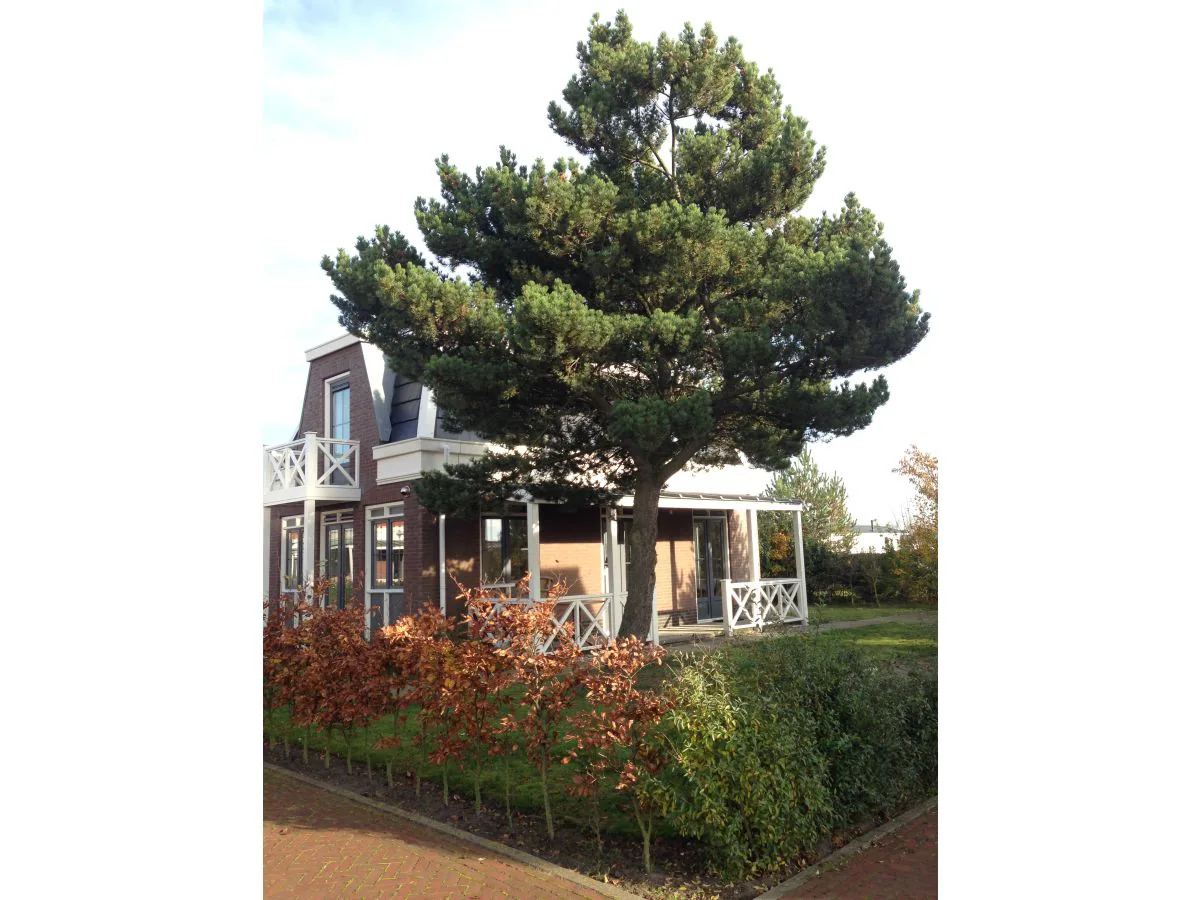 Holiday house Tulp & Zee - Outdoor photo 2