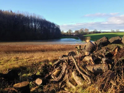 Holiday house NATÜRlich Wassermühle - Outdoor photo 9