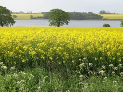 Holiday house NATÜRlich Wassermühle - Environment photo 44