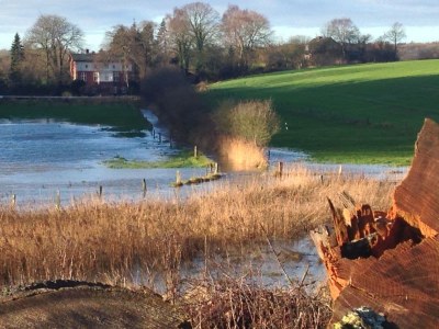 Holiday house NATÜRlich Wassermühle - Environment photo 46