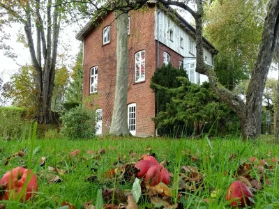 Holiday house NATÜRlich Wassermühle - Outdoor photo 47