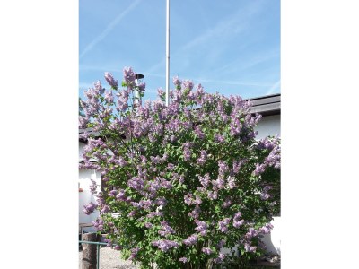 Holiday house Irger - Environment photo 18