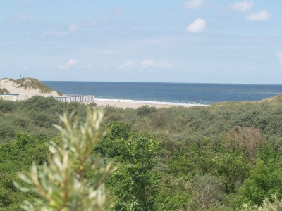 Holiday house De Banjaard - Environment photo 10