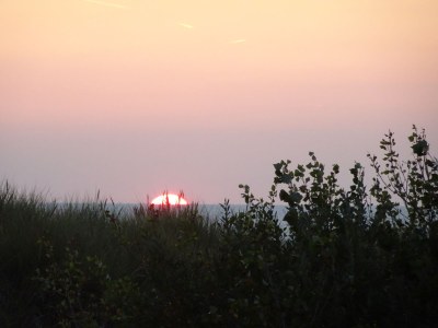 Holiday house De Banjaard - Environment photo 12