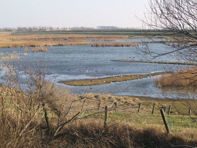 Holiday house De Banjaard - Environment photo 17