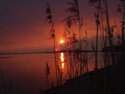 Holiday house De Banjaard - Environment photo 18