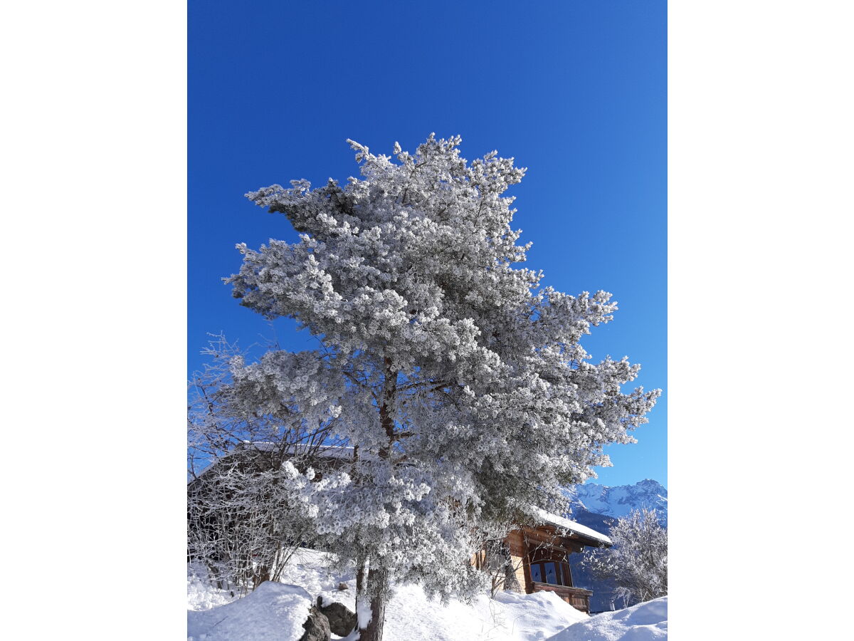 Holiday apartment FÃ¶dermayr - Outdoor photo 5