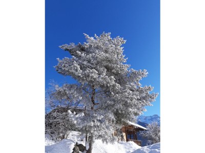 Holiday apartment FÃ¶dermayr - Outdoor photo 5