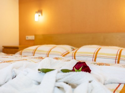 Holiday apartment FÃ¶dermayr - Features photo 8