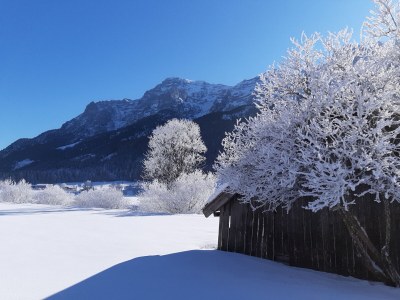Holiday apartment FÃ¶dermayr - Environment photo 16